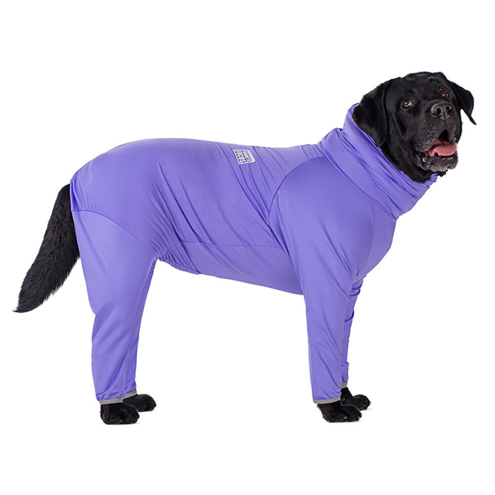 BACKYARD FAMILY「大型犬 つなぎ 犬 通販 ラッシュガード カバーオール ドッグウェア ドッグウエア 犬服 犬の服」|その他|パープル1