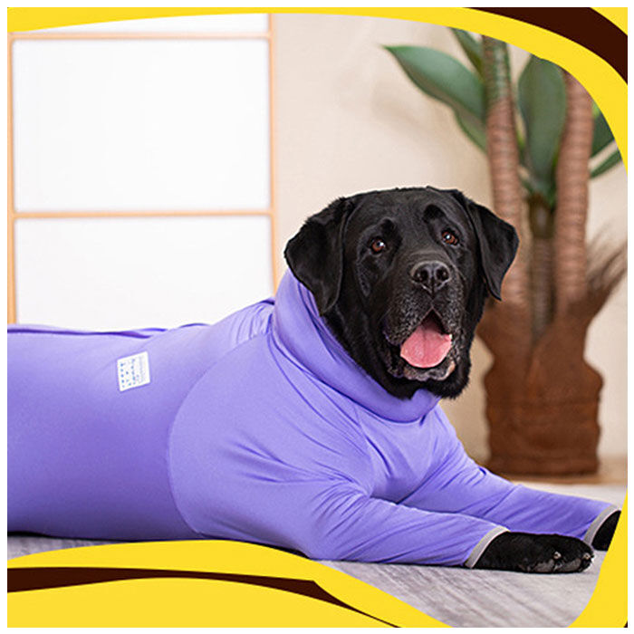 BACKYARD FAMILY「大型犬 つなぎ 犬 通販 ラッシュガード カバーオール ドッグウェア ドッグウエア 犬服 犬の服」|その他|