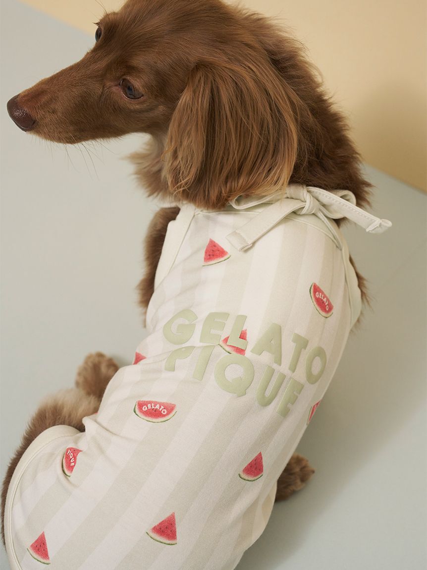  GELATO PIQUE CAT&DOG「【CAT&DOG】【接触冷感】ダックスフンドサイズCoolingプルオーバー」|その他|