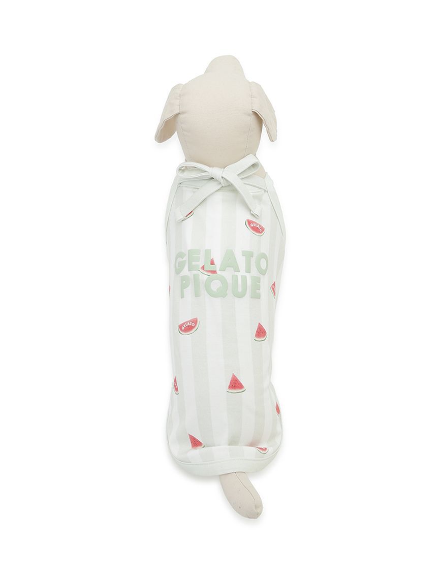 GELATO PIQUE CAT&DOG「【CAT&DOG】【接触冷感】ダックスフンドサイズCoolingプルオーバー」|その他|