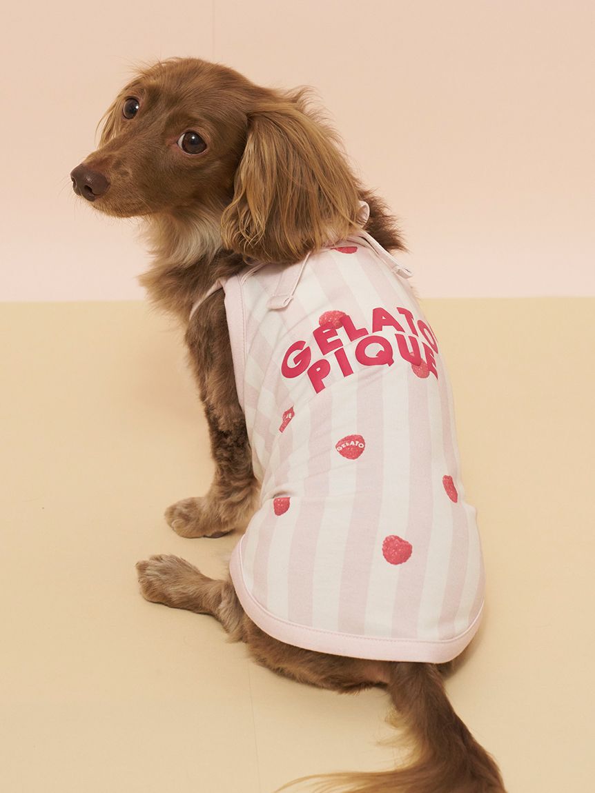  GELATO PIQUE CAT&DOG「【CAT&DOG】【接触冷感】ダックスフンドサイズCoolingプルオーバー」|その他|