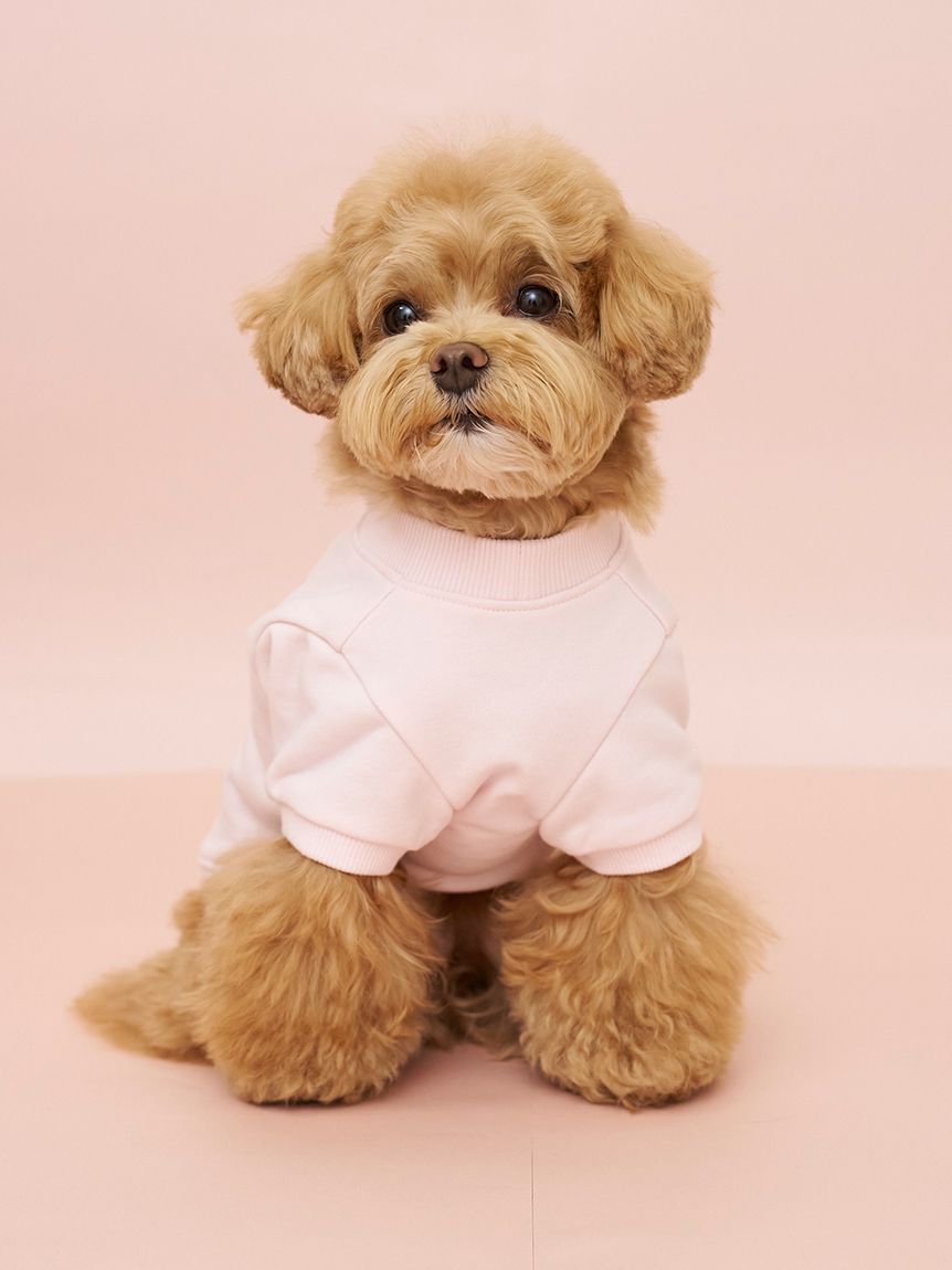  GELATO PIQUE CAT&DOG「【CAT&DOG】お散歩ドッグ裏毛プルオーバー」|その他|