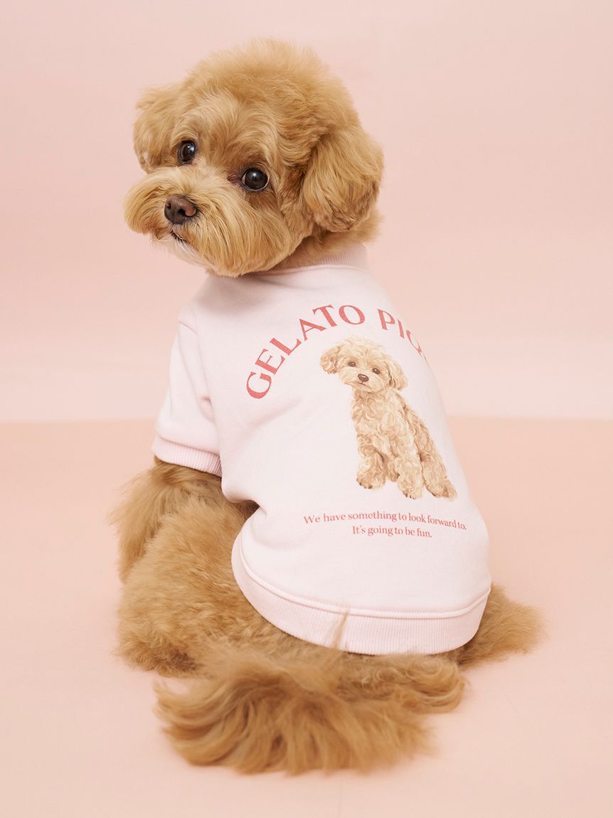  GELATO PIQUE CAT&DOG「【CAT&DOG】お散歩ドッグ裏毛プルオーバー」|その他|