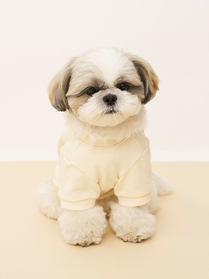  GELATO PIQUE CAT&DOG「【CAT&DOG】お散歩ドッグ裏毛プルオーバー」|その他|