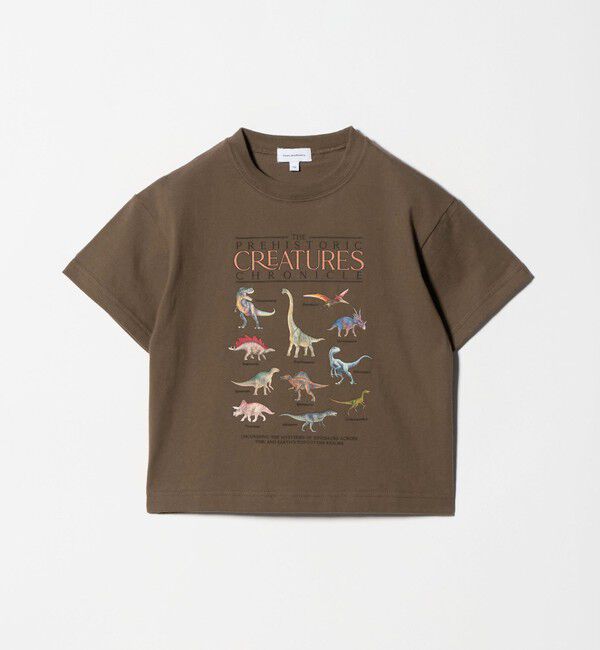 UNITED ARROWS green label relaxing「ダイナソー Tシャツ / キッズ  100cm-130cm」|Tシャツ・カットソー|MD.BROWN