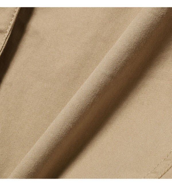 BEAMS PLUS「【別注】sage de cret / M-42 Cargo Pants」|チノ|