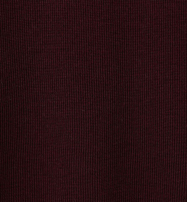 BACCA「【WEB先行予約】エクストラファインメリノウール ラッフルカラープルオーバー」|ニット・セーター|