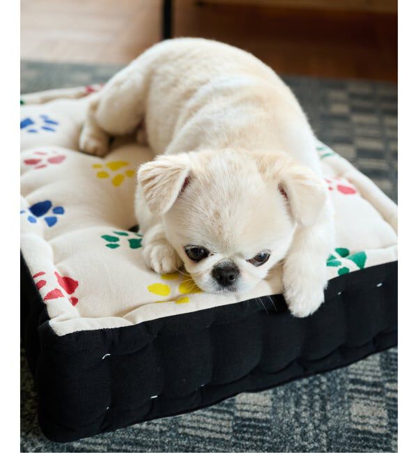 journal standard Furniture「PAWS PT FLOOR CUSHION　フロアクッション」|クッション・クッションカバー|