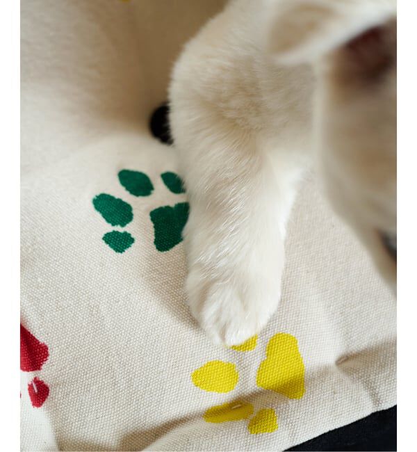 journal standard Furniture「PAWS PT FLOOR CUSHION　フロアクッション」|クッション・クッションカバー|