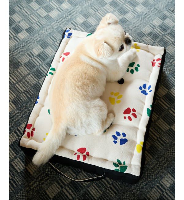 journal standard Furniture「PAWS PT FLOOR CUSHION　フロアクッション」|クッション・クッションカバー|