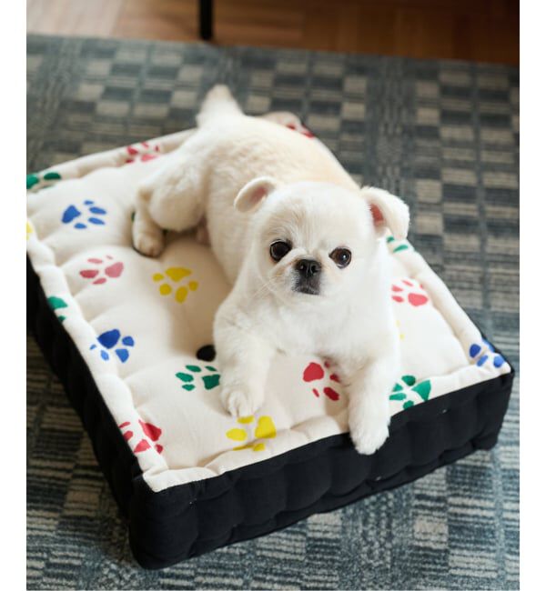 journal standard Furniture「PAWS PT FLOOR CUSHION　フロアクッション」|クッション・クッションカバー|