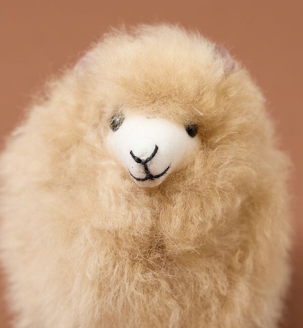 collex「【WEB限定】【COSY/コージー】Mini Sheep」|チャーム・キーホルダー|