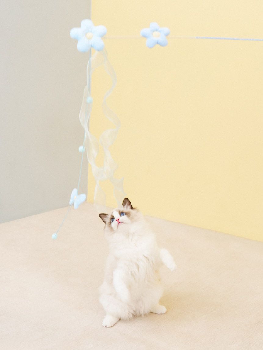  GELATO PIQUE CAT&DOG「【CAT&DOG】フラワーモチーフねこじゃらし」|その他|