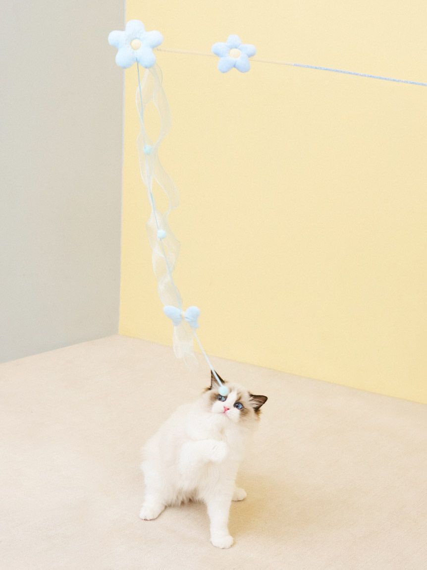 GELATO PIQUE CAT&DOG「【CAT&DOG】フラワーモチーフねこじゃらし」|その他|