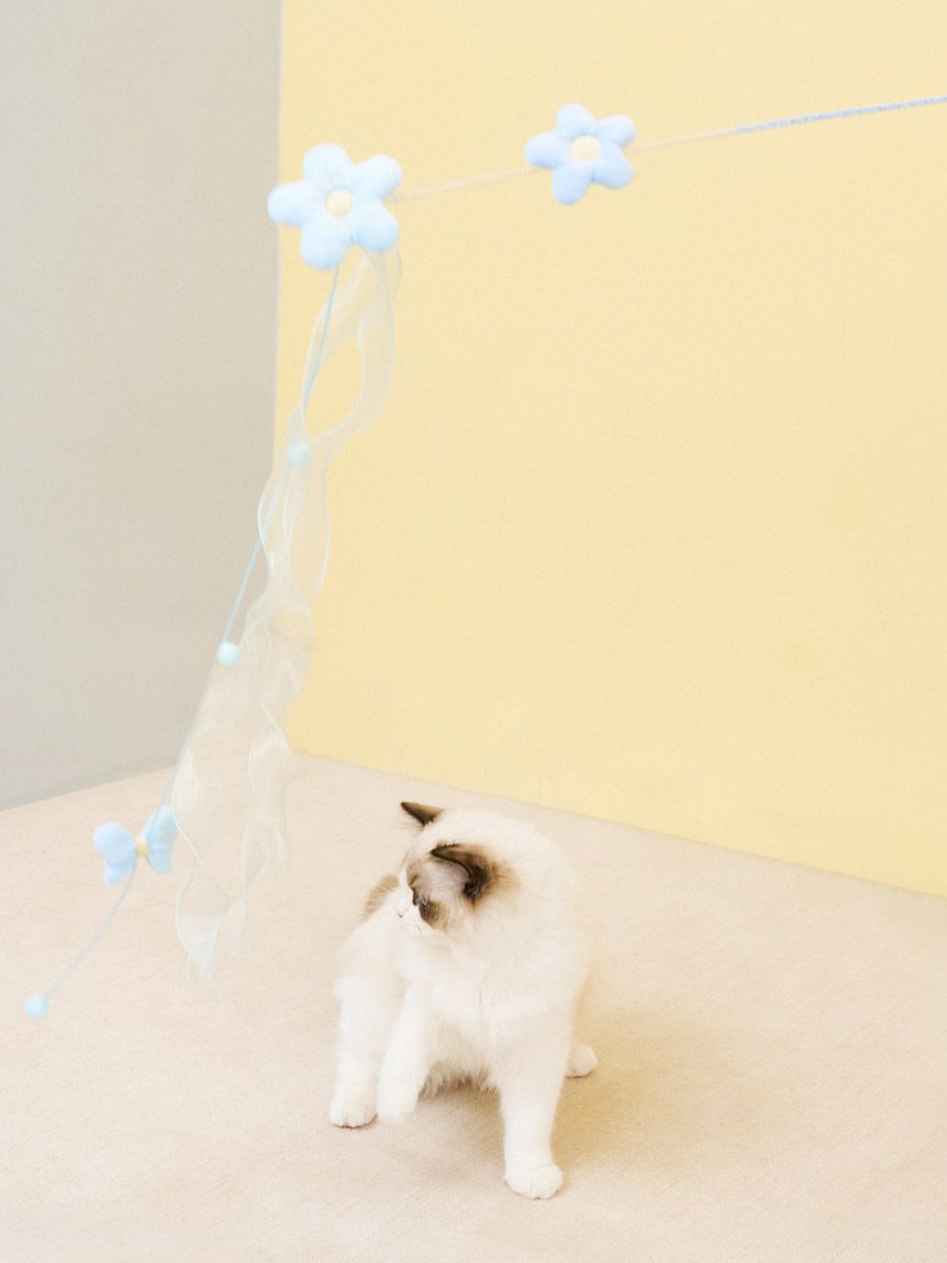  GELATO PIQUE CAT&DOG「【CAT&DOG】フラワーモチーフねこじゃらし」|その他|