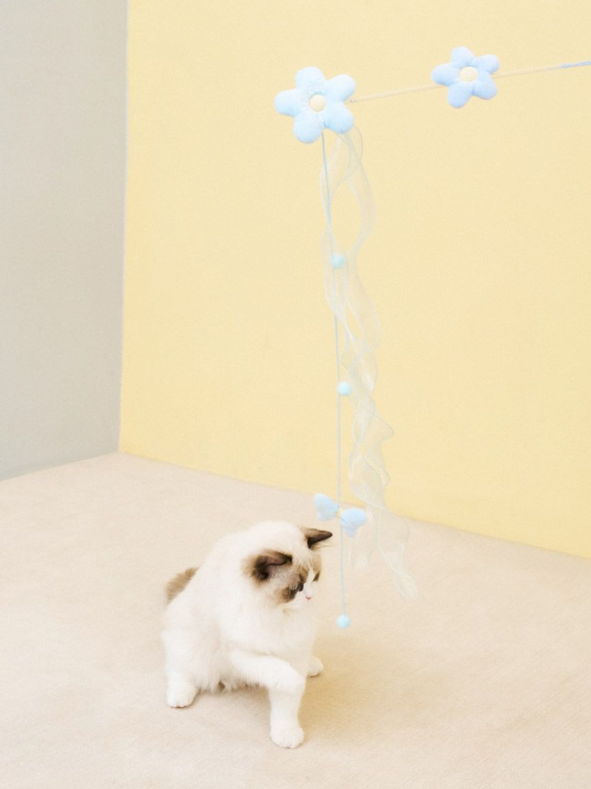  GELATO PIQUE CAT&DOG「【CAT&DOG】フラワーモチーフねこじゃらし」|その他|