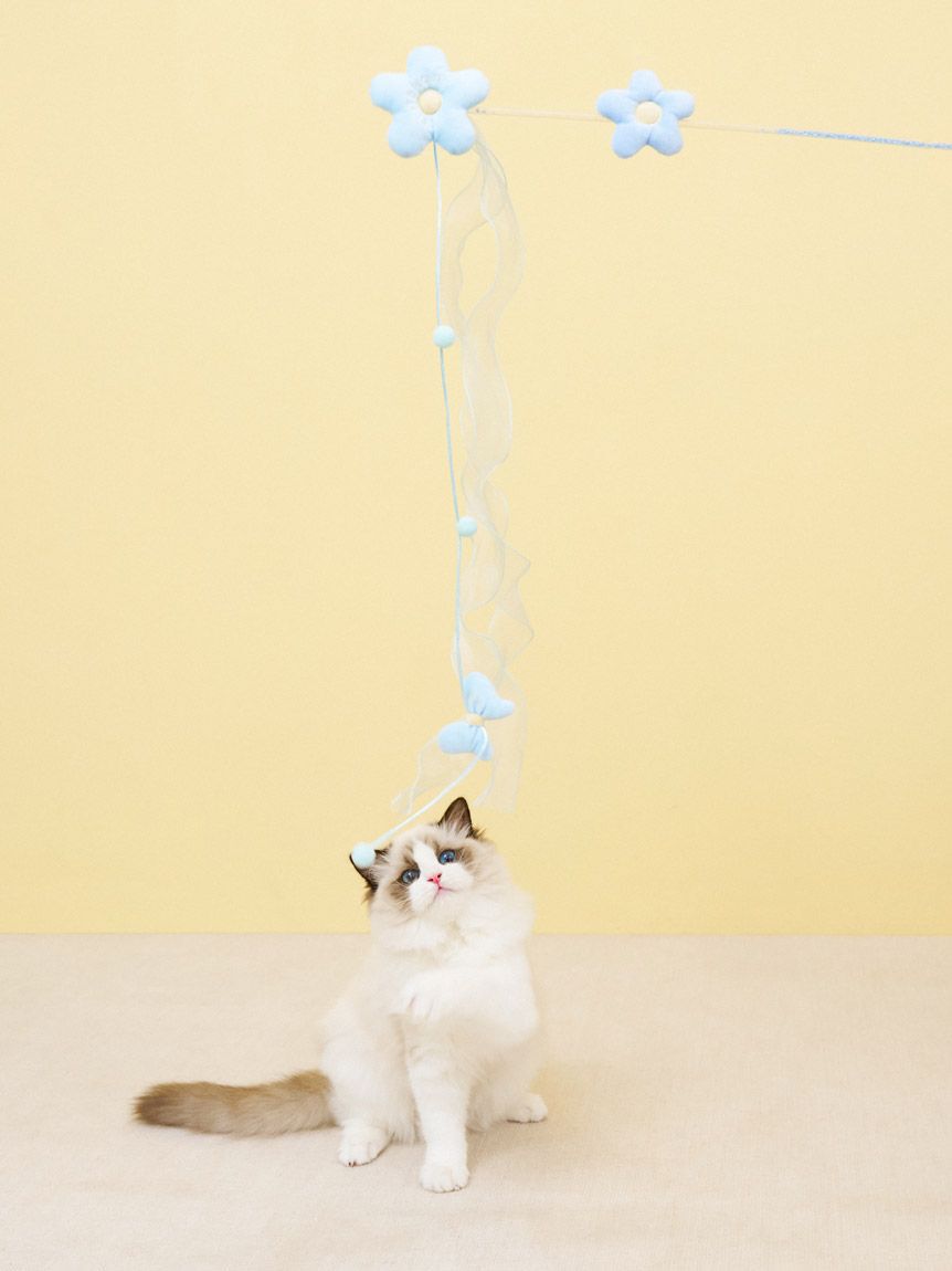 GELATO PIQUE CAT&DOG「【CAT&DOG】フラワーモチーフねこじゃらし」|その他|