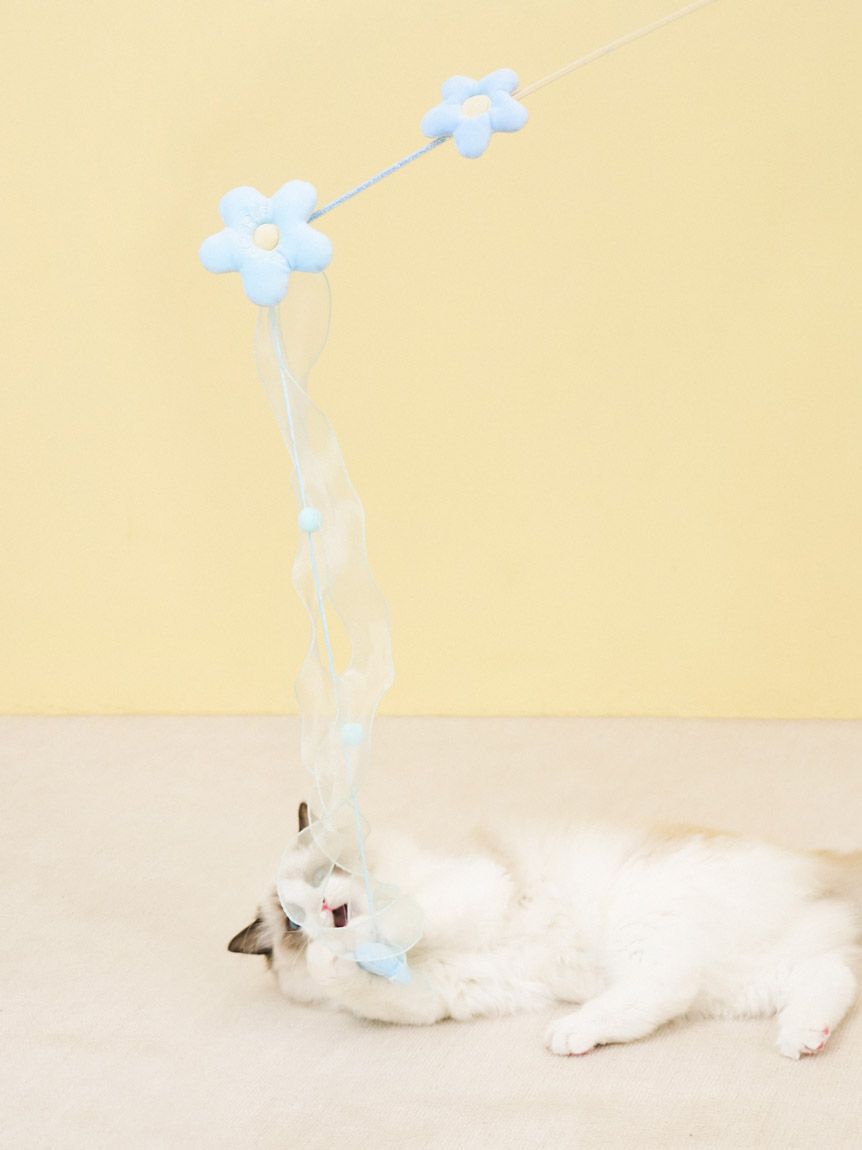  GELATO PIQUE CAT&DOG「【CAT&DOG】フラワーモチーフねこじゃらし」|その他|