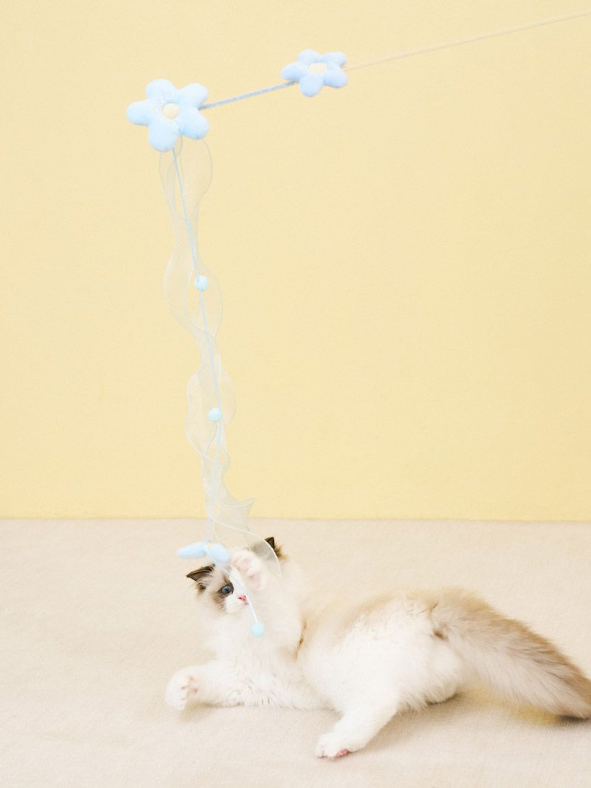  GELATO PIQUE CAT&DOG「【CAT&DOG】フラワーモチーフねこじゃらし」|その他|