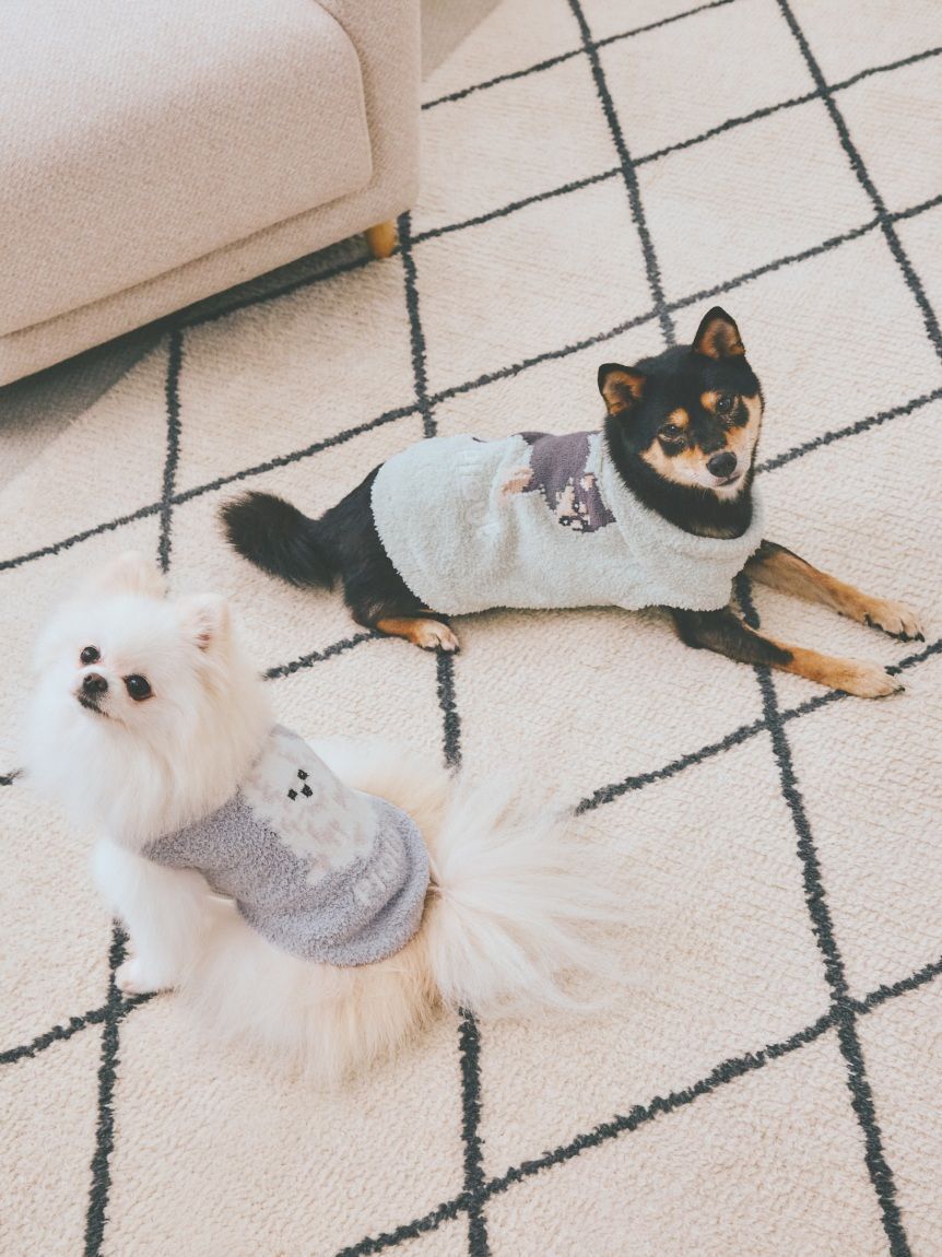  GELATO PIQUE CAT&DOG「【CAT&DOG】柴犬ジャガードプルオーバー」|その他|