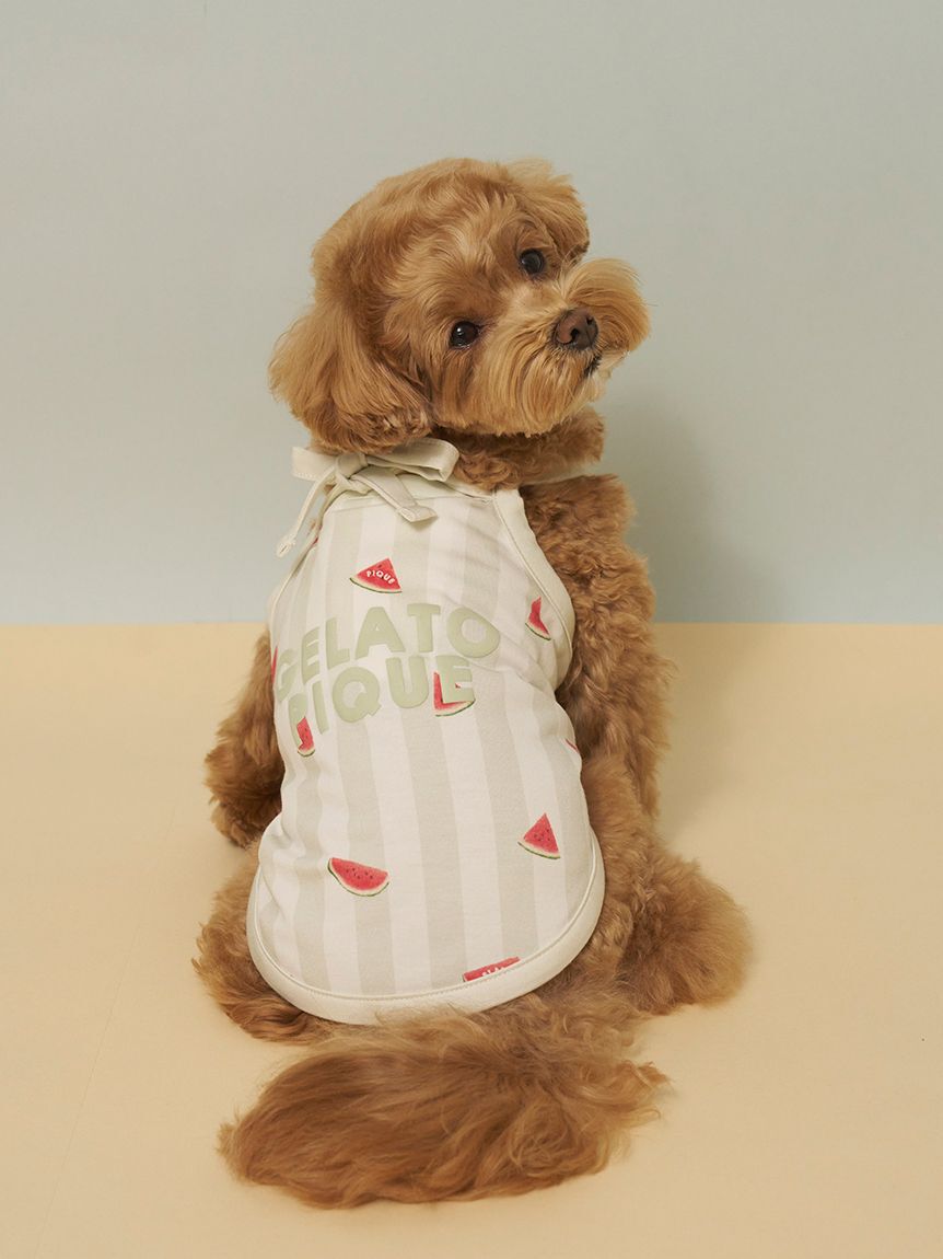  GELATO PIQUE CAT&DOG「【CAT&DOG】【接触冷感】 ストライプ柄Coolingプルオーバー」|その他|GRN