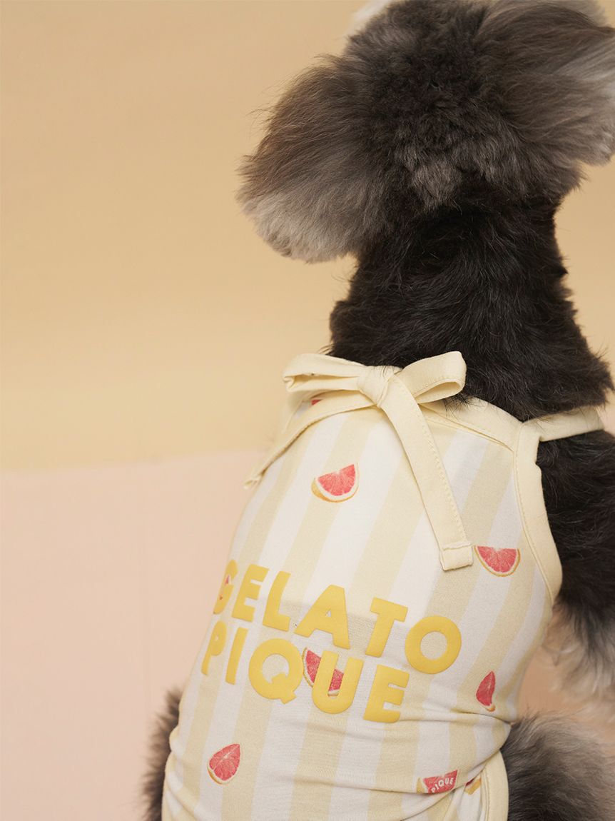  GELATO PIQUE CAT&DOG「【CAT&DOG】【接触冷感】 ストライプ柄Coolingプルオーバー」|その他|