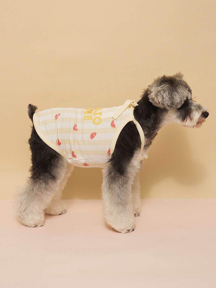  GELATO PIQUE CAT&DOG「【CAT&DOG】【接触冷感】 ストライプ柄Coolingプルオーバー」|その他|