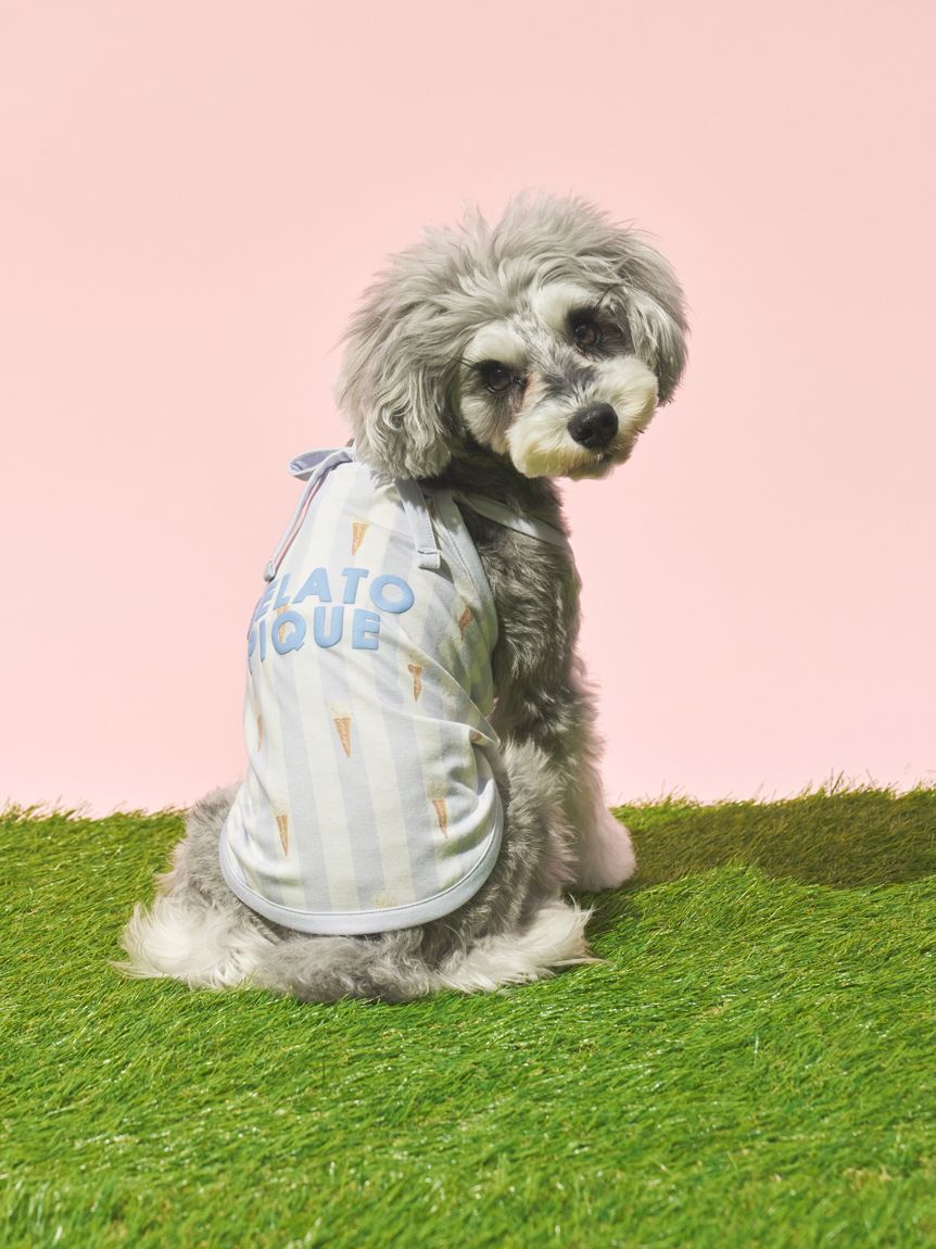  GELATO PIQUE CAT&DOG「【CAT&DOG】【接触冷感】 ストライプ柄Coolingプルオーバー」|その他|BLU