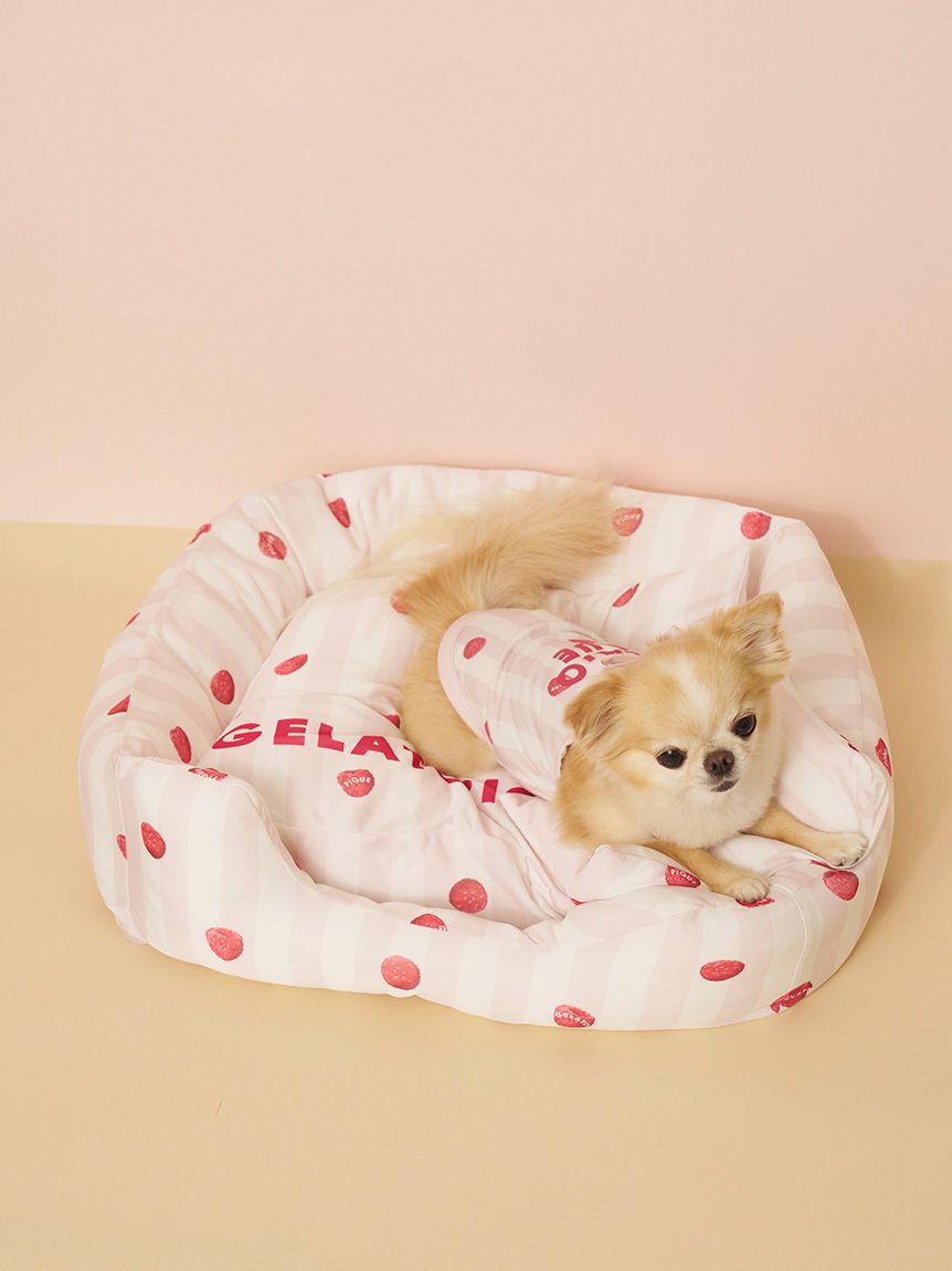  GELATO PIQUE CAT&DOG「【CAT&DOG】【接触冷感】【抗菌防臭】 CoolingベッドS」|その他|