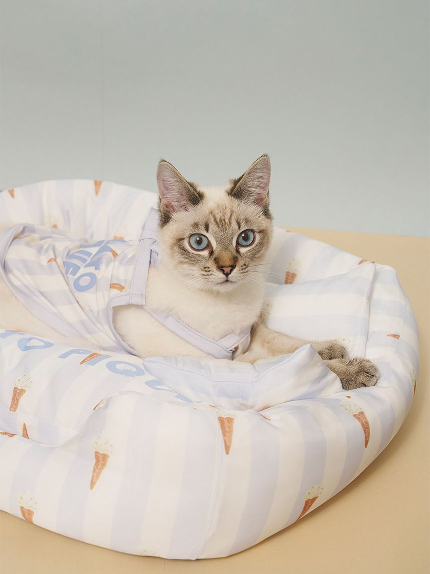  GELATO PIQUE CAT&DOG「【CAT&DOG】【接触冷感】【抗菌防臭】 CoolingベッドS」|その他|