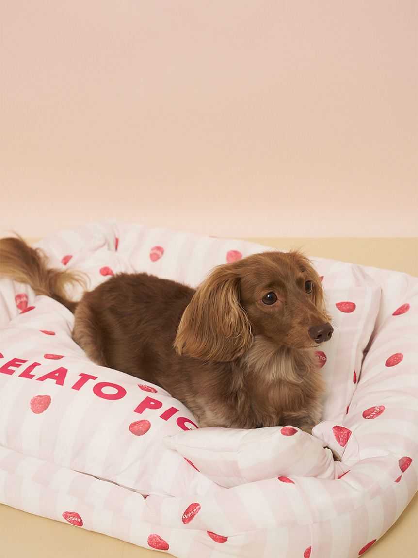  GELATO PIQUE CAT&DOG「【CAT&DOG】【接触冷感】【抗菌防臭】 CoolingベッドM」|その他|