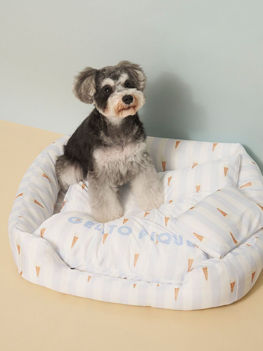  GELATO PIQUE CAT&DOG「【CAT&DOG】【接触冷感】【抗菌防臭】 CoolingベッドM」|その他|BLU