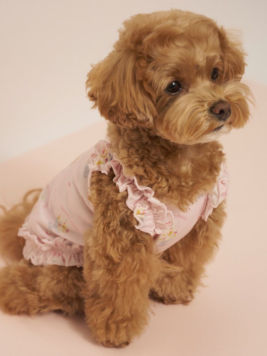 GELATO PIQUE CAT&DOG「【CAT&DOG】【接触冷感】シロクマひんやりスイーツ柄 Coolingフリルプルオーバー」|その他|