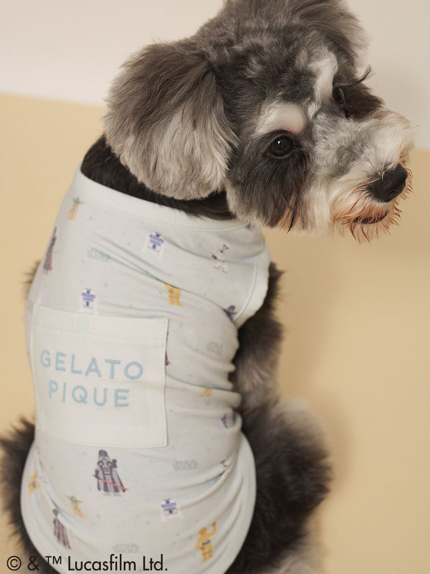  GELATO PIQUE CAT&DOG「【STAR WARS】【CAT＆DOG】クーリングポケット付き総柄プルオーバー」|その他|