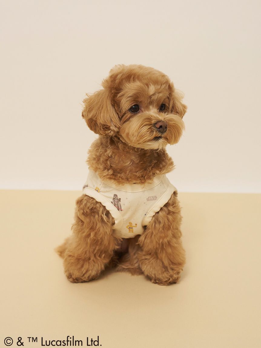  GELATO PIQUE CAT&DOG「【STAR WARS】【CAT＆DOG】クーリングポケット付き総柄プルオーバー」|その他|