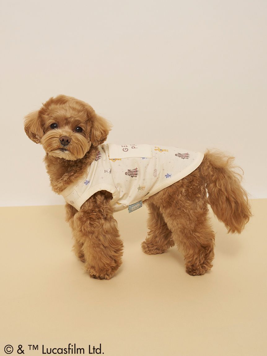  GELATO PIQUE CAT&DOG「【STAR WARS】【CAT＆DOG】クーリングポケット付き総柄プルオーバー」|その他|
