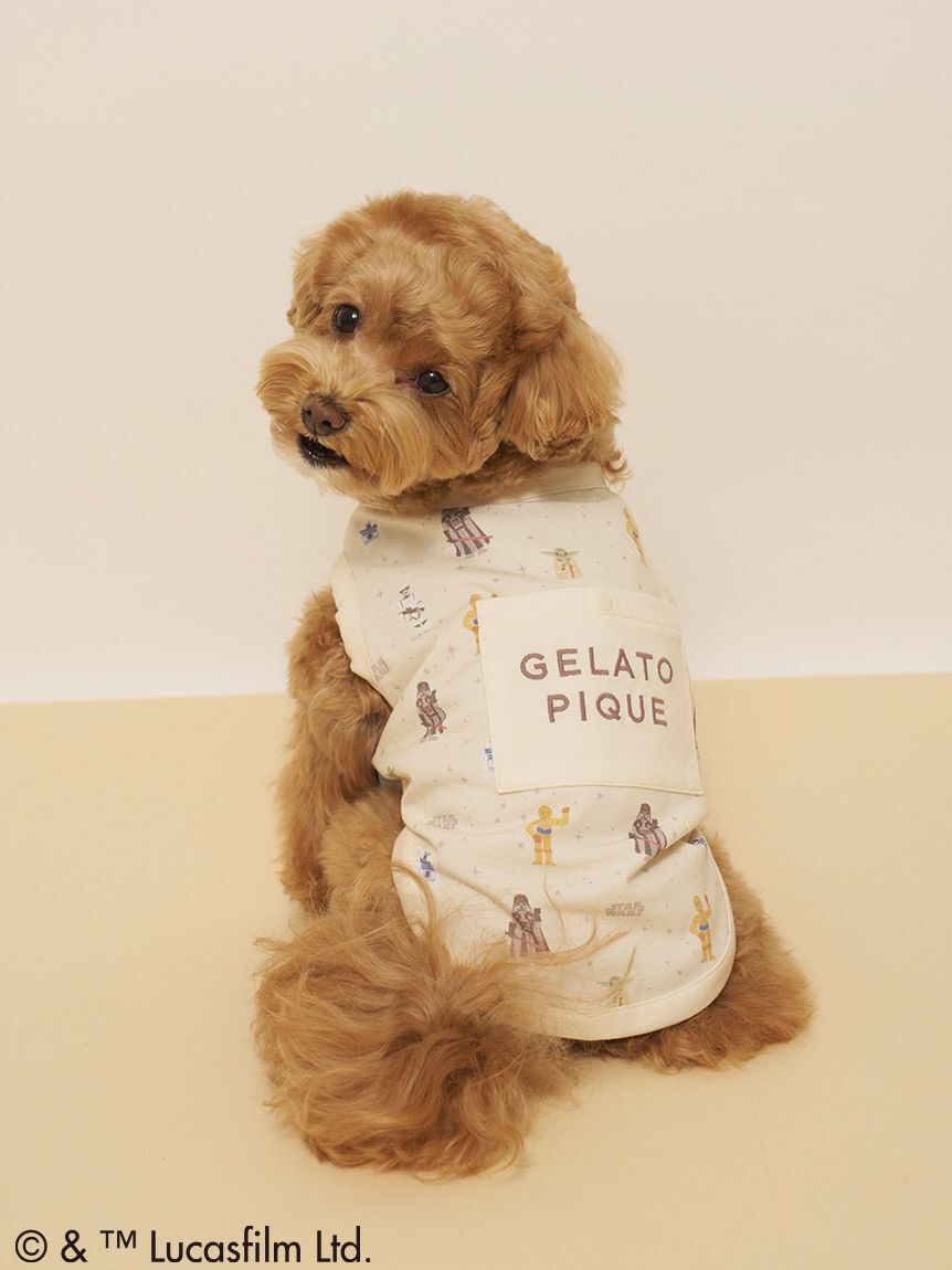 GELATO PIQUE CAT&DOG「【STAR WARS】【CAT＆DOG】クーリングポケット付き総柄プルオーバー」|その他|