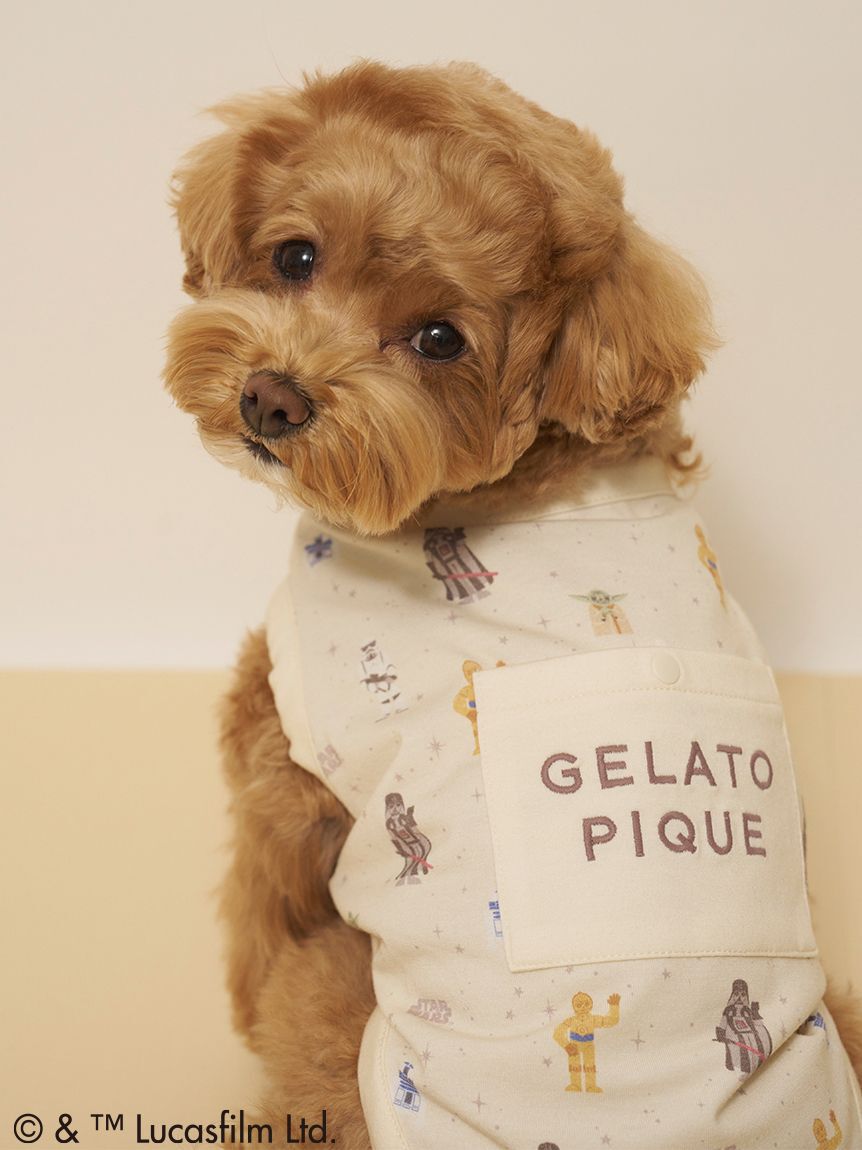  GELATO PIQUE CAT&DOG「【STAR WARS】【CAT＆DOG】クーリングポケット付き総柄プルオーバー」|その他|