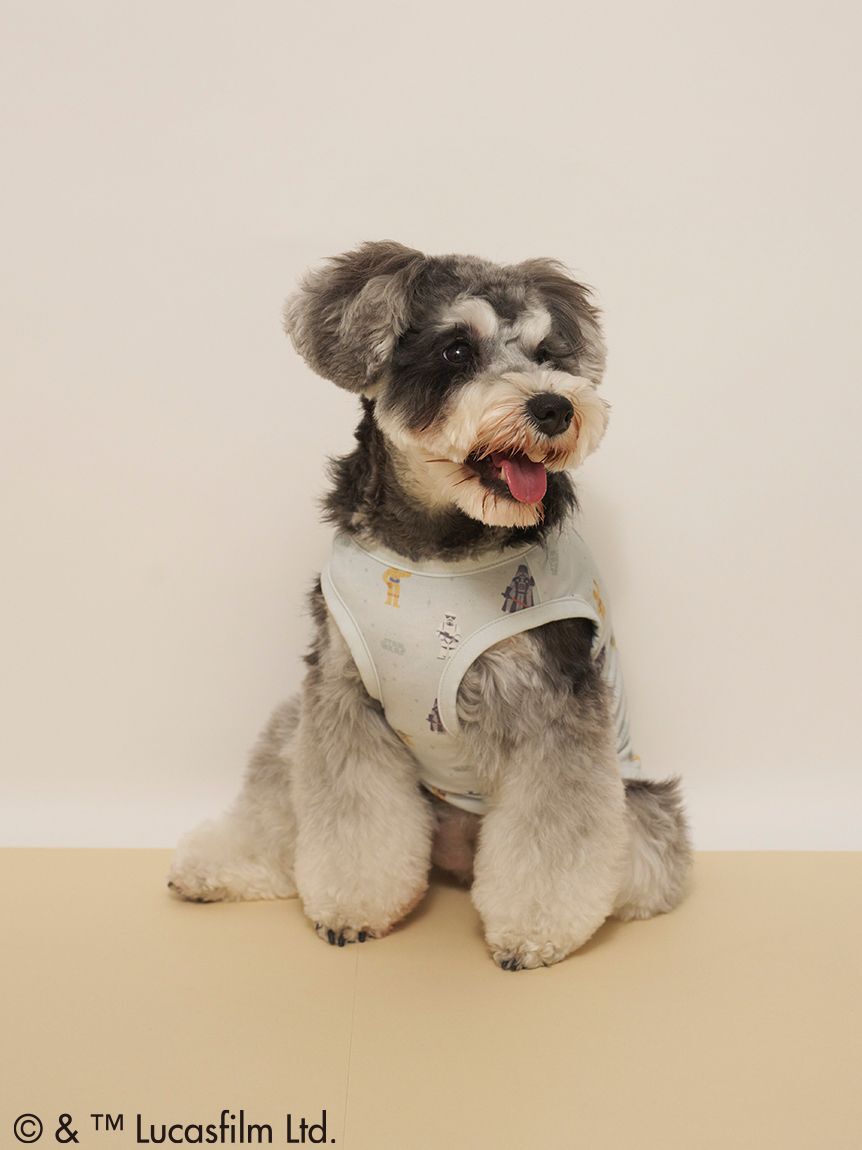  GELATO PIQUE CAT&DOG「【STAR WARS】【CAT＆DOG】クーリングポケット付き総柄プルオーバー」|その他|