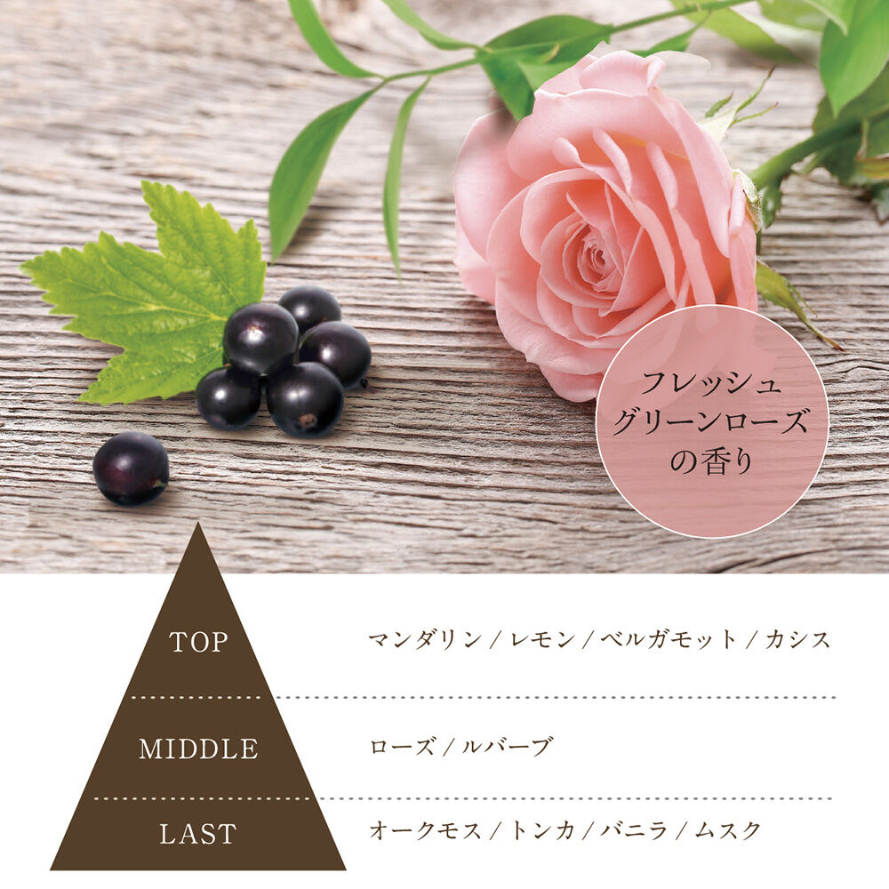  「REMRIS(レムリス) リラクシングマルチミスト インテンションヴィータ  (100ml)」|その他|