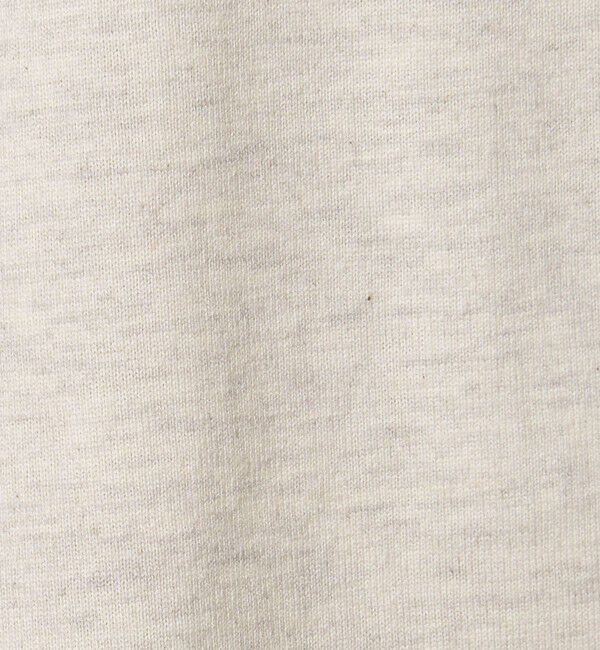 BEAUTY&YOUTH UNITED ARROWS「【WEB限定】フィッシュ ロングスリーブ Tシャツ」|Tシャツ・カットソー|