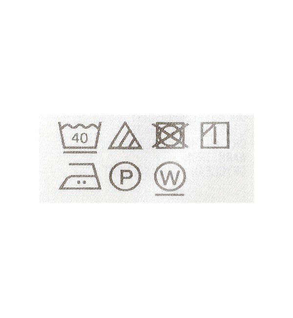BEAMS SELECTION for WOMEN「ATON / フレスカヌバック オーバーサイズ プルオーバー」|Tシャツ・カットソー|