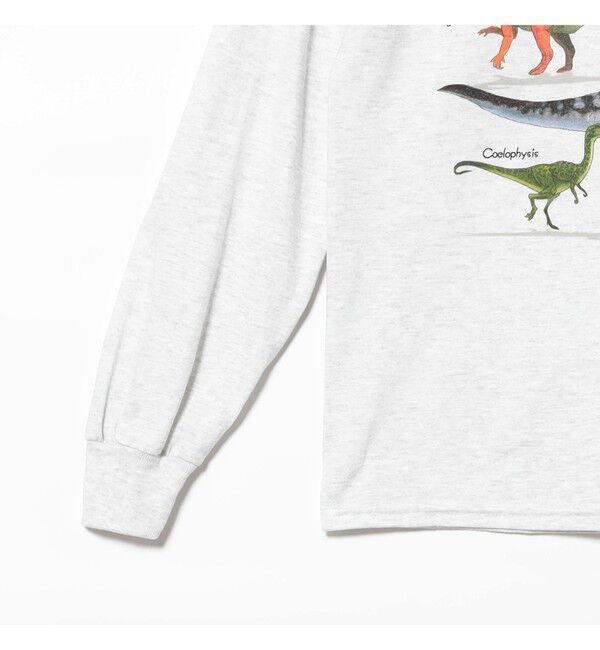BEAMSBOY「【別注】Atlas Screen Printing &times; BEAMS BOY / ダイナソー Tシャツ」|Tシャツ・カットソー|