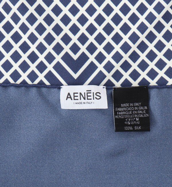 NOLLEY'S sophi「【AENEIS/エイネス】MINIMAL ILLUSION SILK SCARF & SHAWL」|ストール|