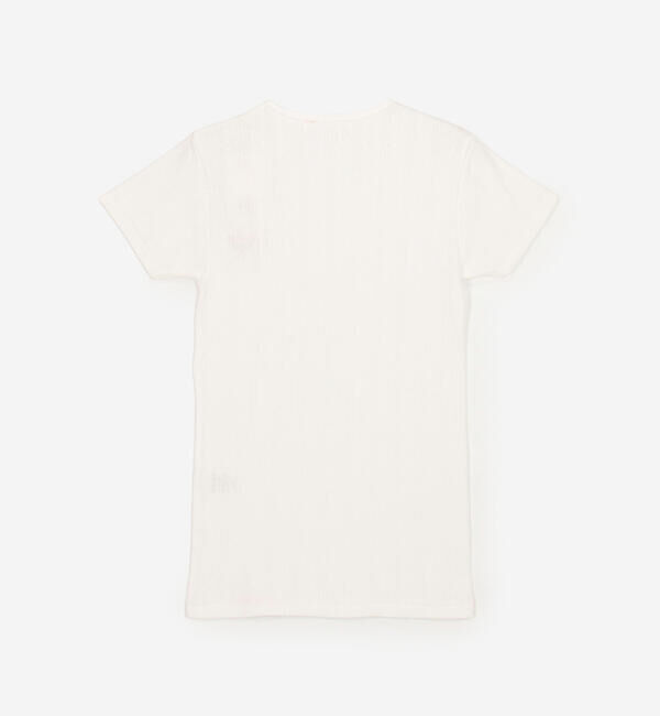  「YOUNG & OLSEN The DRYGOODS STORE | コットン 半袖Tシャツ WOMEN」|Tシャツ・カットソー|