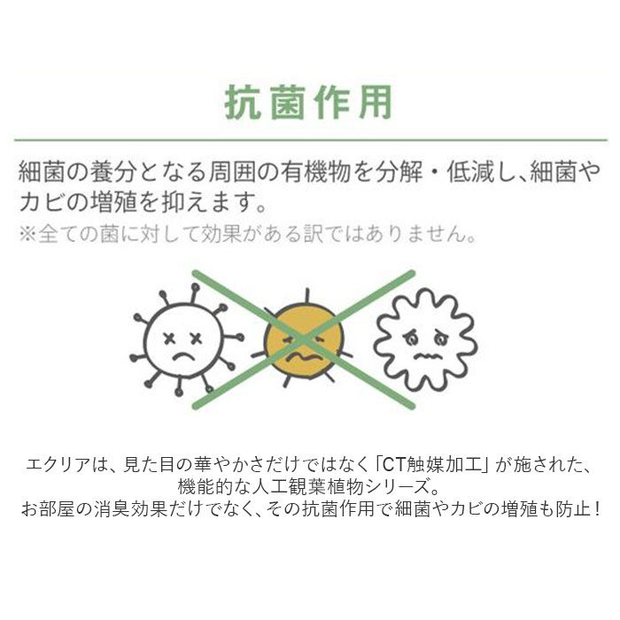 BACKYARD FAMILY「消臭 フェイクグリーン ハンギング 通販 観葉植物 フェイク ハンギンググリーン 人工観葉植物」|その他|