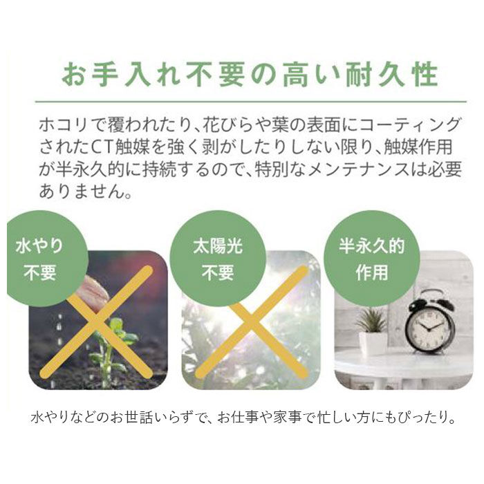 BACKYARD FAMILY「消臭 フェイクグリーン ハンギング 通販 観葉植物 フェイク ハンギンググリーン 人工観葉植物」|その他|