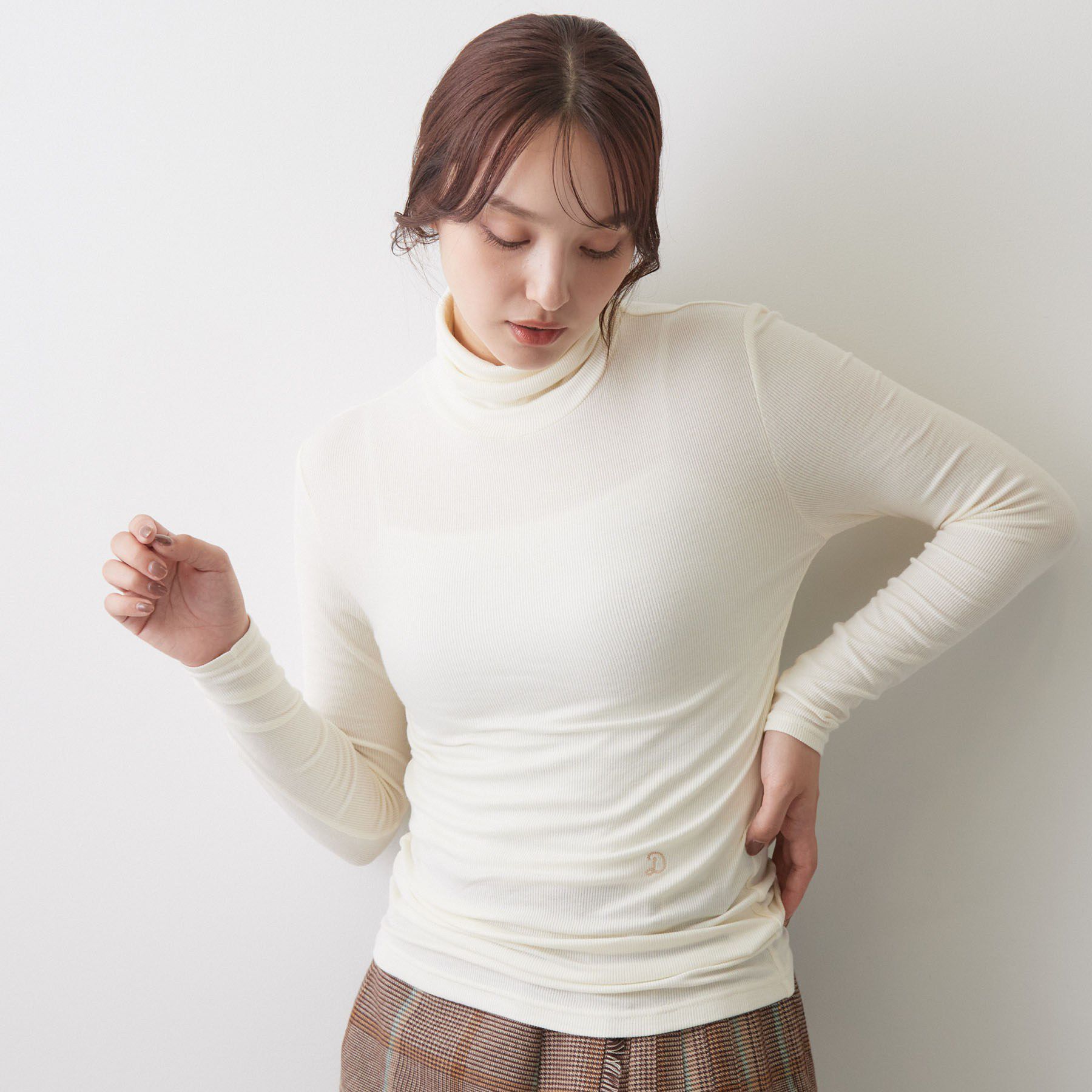 DRESSTERIOR「ホカウル タートルネック」|Tシャツ・カットソー|