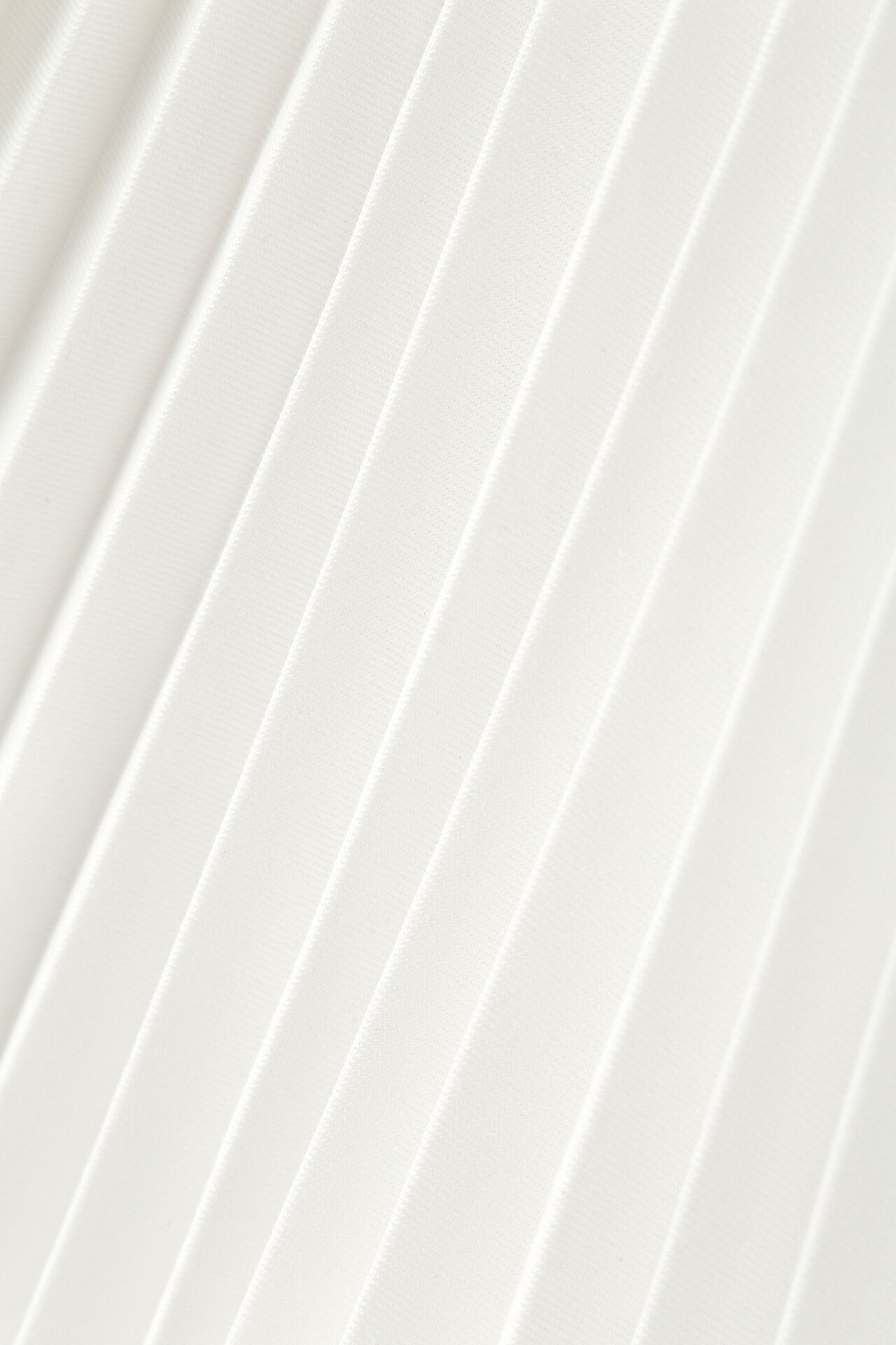 YLEVE 「BOURRIENNE &times; YLEVE / T/C TWILL SK / EN」|スカート|