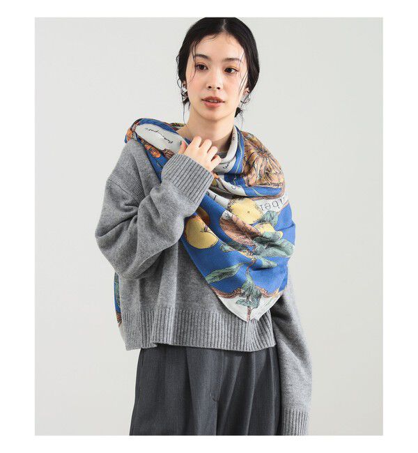 Demi-Luxe BEAMS 「manipuri / アンティーク レシピ ストール」|ストール|